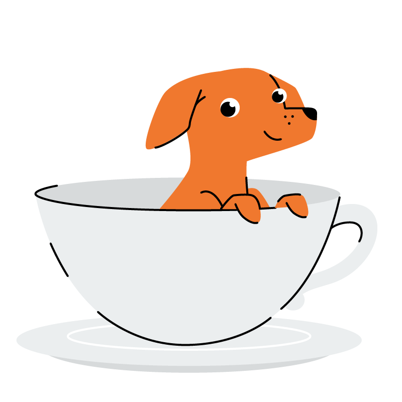 Small Breed Dog walks